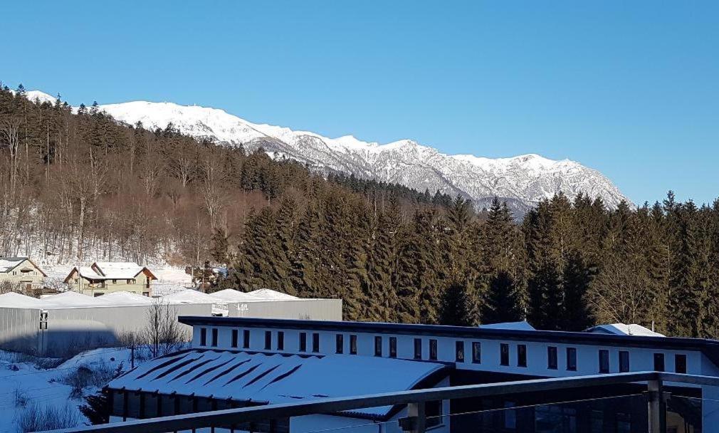 Studio Mountain View Sinaia Esterno foto