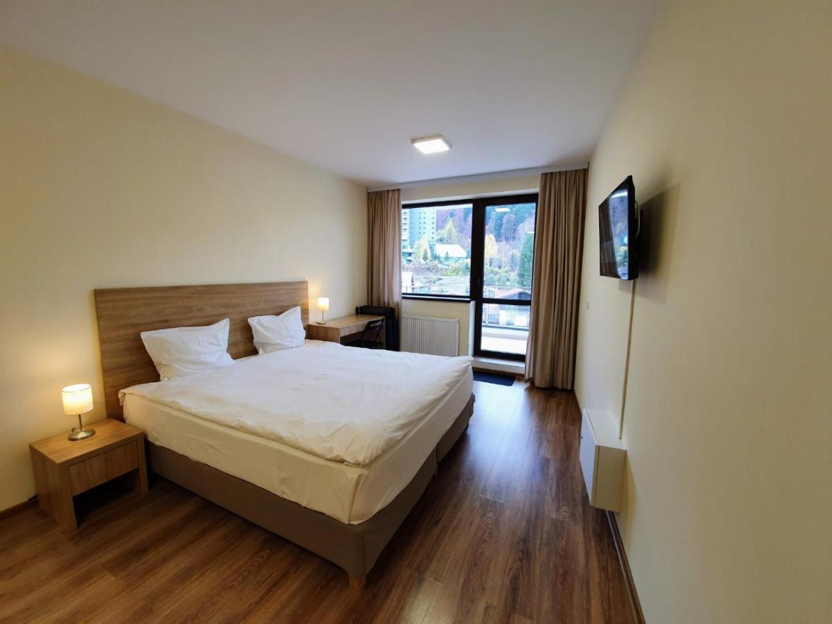 Studio Mountain View Sinaia Esterno foto