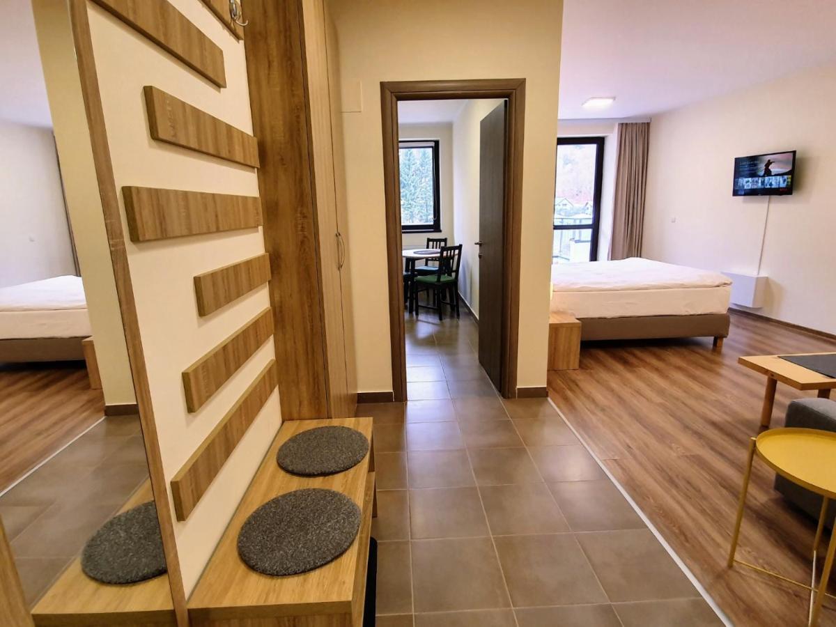 Studio Mountain View Sinaia Esterno foto