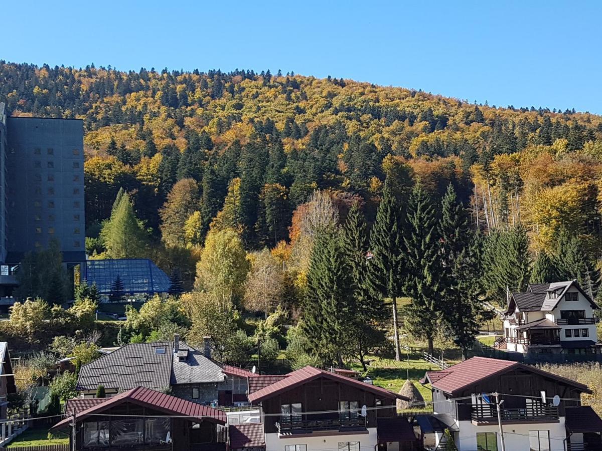 Studio Mountain View Sinaia Esterno foto
