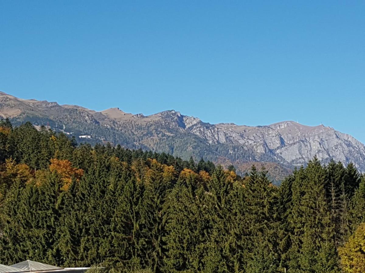 Studio Mountain View Sinaia Esterno foto