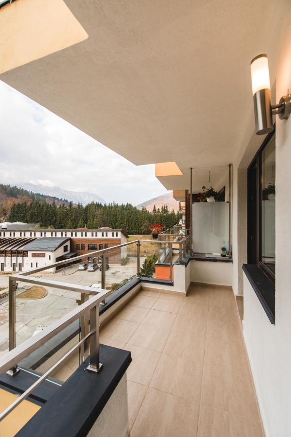 Studio Mountain View Sinaia Esterno foto