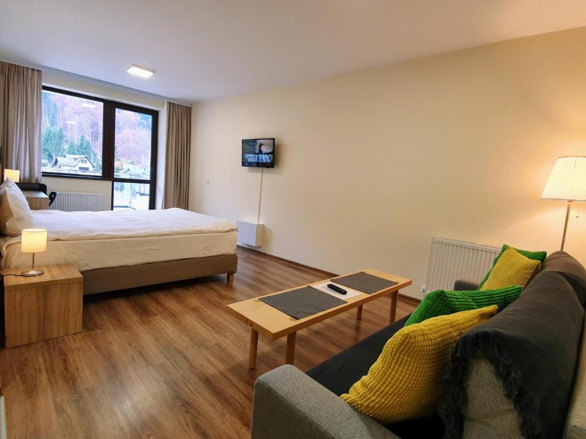 Studio Mountain View Sinaia Esterno foto