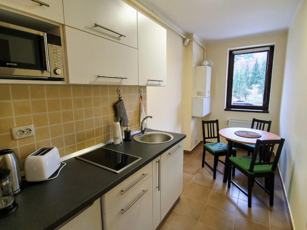 Studio Mountain View Sinaia Esterno foto